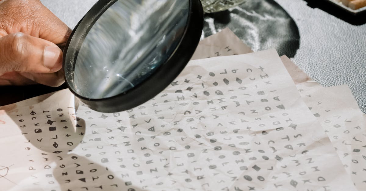 Evaluating the Accuracy of Background Check Reports